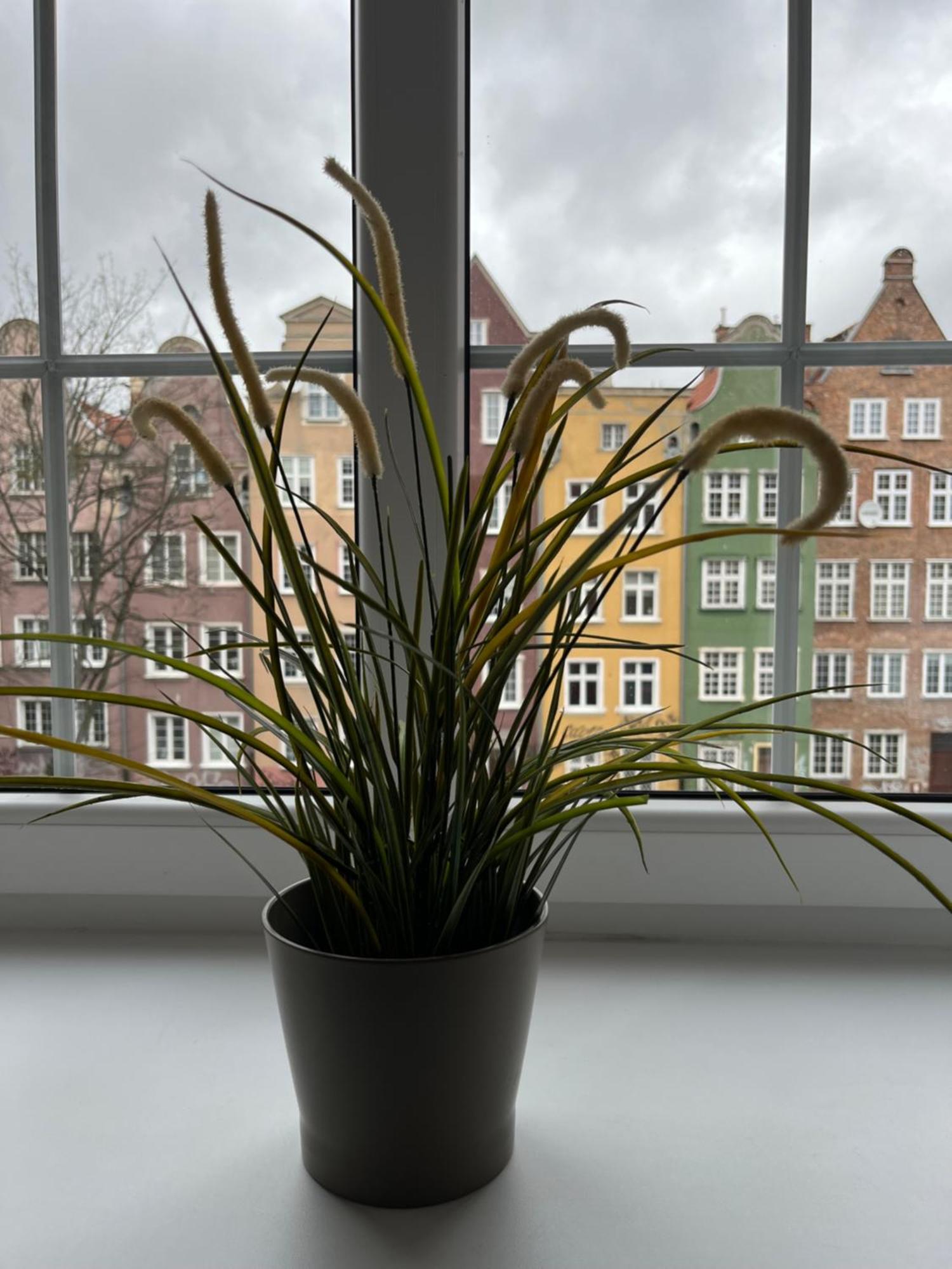 Apartament Piwna52 Gdansk Bagian luar foto